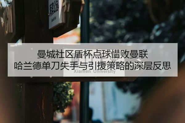 man-cheng-she-qu-dun-bei-dian-qiu-xi-bai-man-lian-ha-lan-de-dan-dao-shi-shou-yu-yin-yuan-ce-lve-de-shen-ceng-fan-si-3-383.jpg